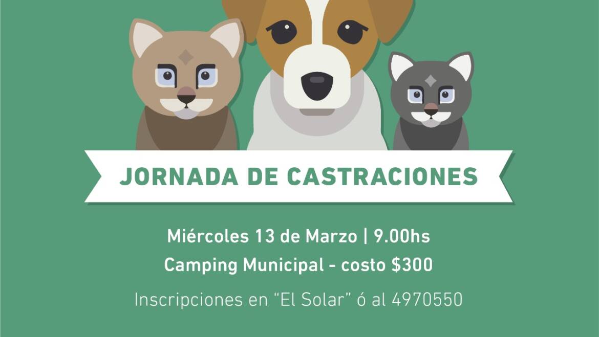 Nueva campaña de castraciones de mascotas