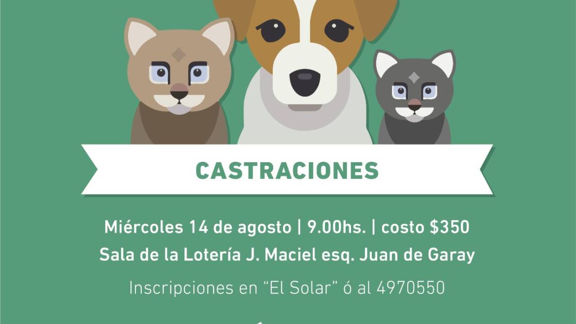Jornada de castración de mascotas