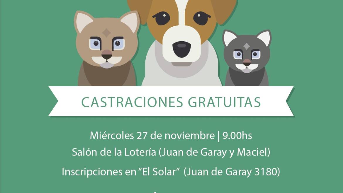 Castraciones gratuitas de mascotas