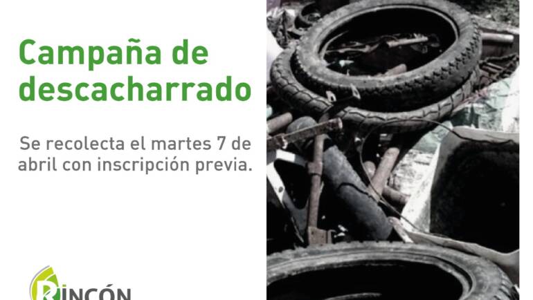 El municipio lanza una campaña de descacharrado