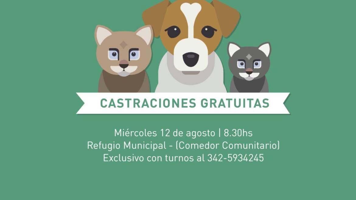 En agosto continúa la campaña de castraciones gratuitas