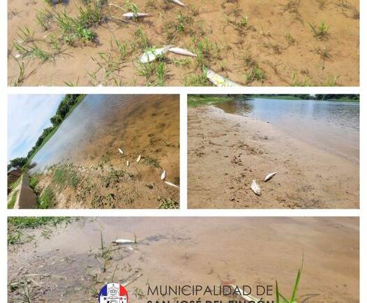 🚨ATENCION:  👉Agua turbia en el Balneario Luis Beney